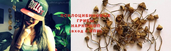 дмт Волосово