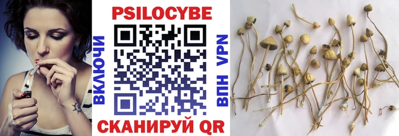 Галлюциногенные грибы Psilocybe  Купить где  Колпашево 